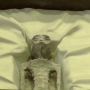 Alien, 1000 year old, एलियन, mexico, मैक्सिको, मेक्सिको